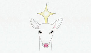 Albino Fawn Productions